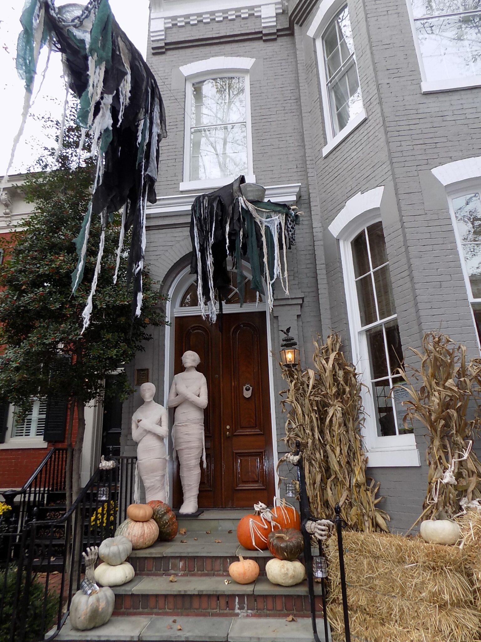 Halloween Fun in The