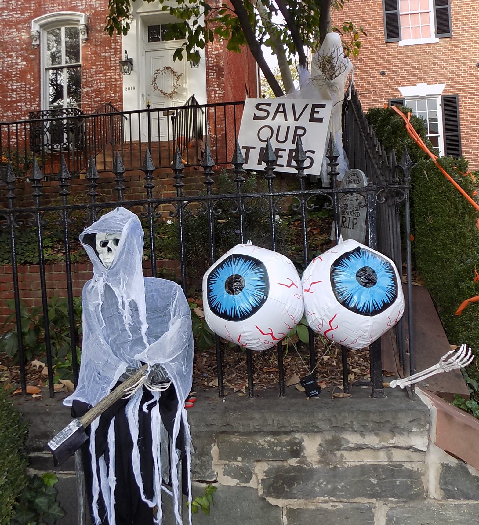 Halloween Fun in The