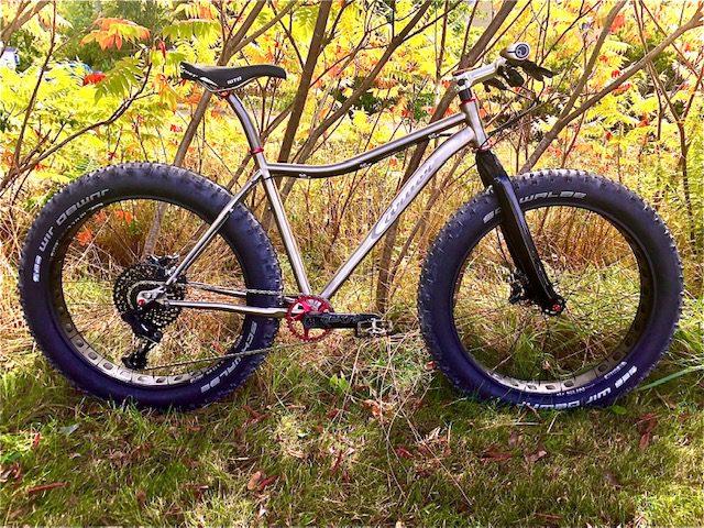 Titanium discount fat bike