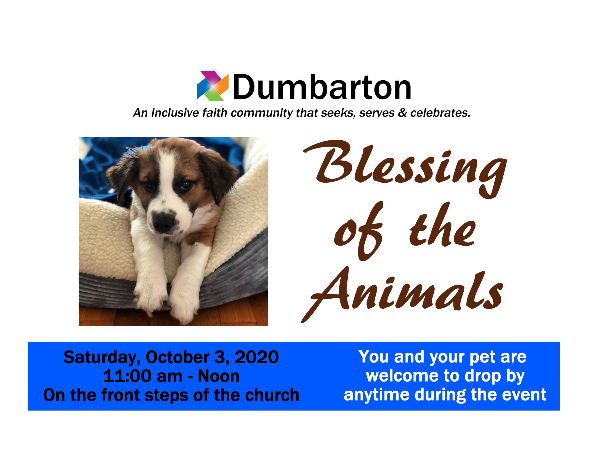 blessing animals 2020 The