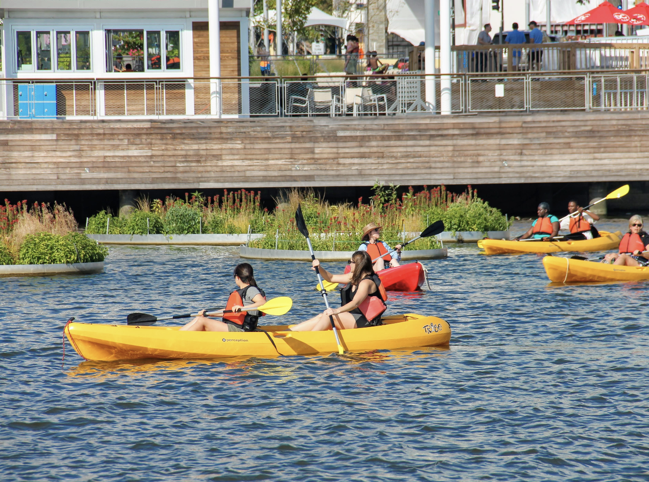 Celebrate Earth Day with These Things-to-Do Around Town - Vimarsana News