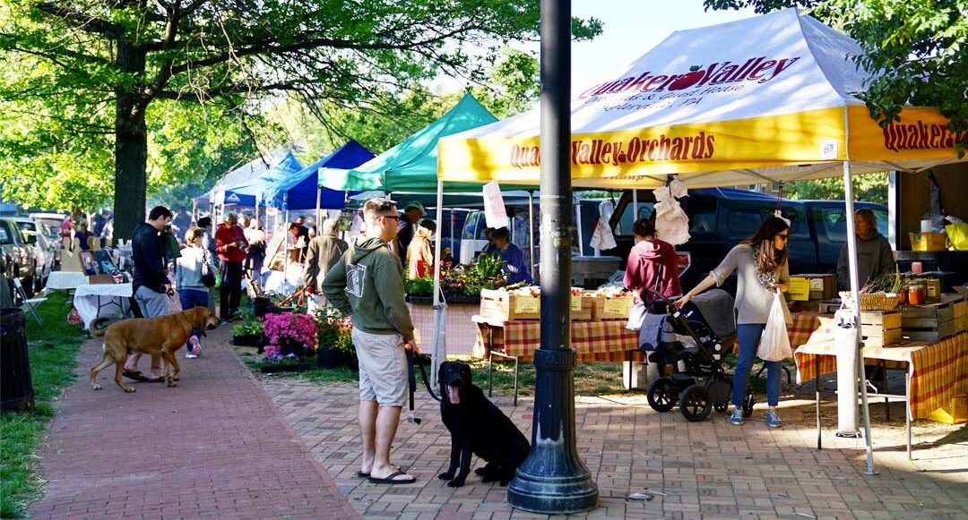 Rose Park Market To Open with Piñata | The Georgetowner - Vimarsana News
