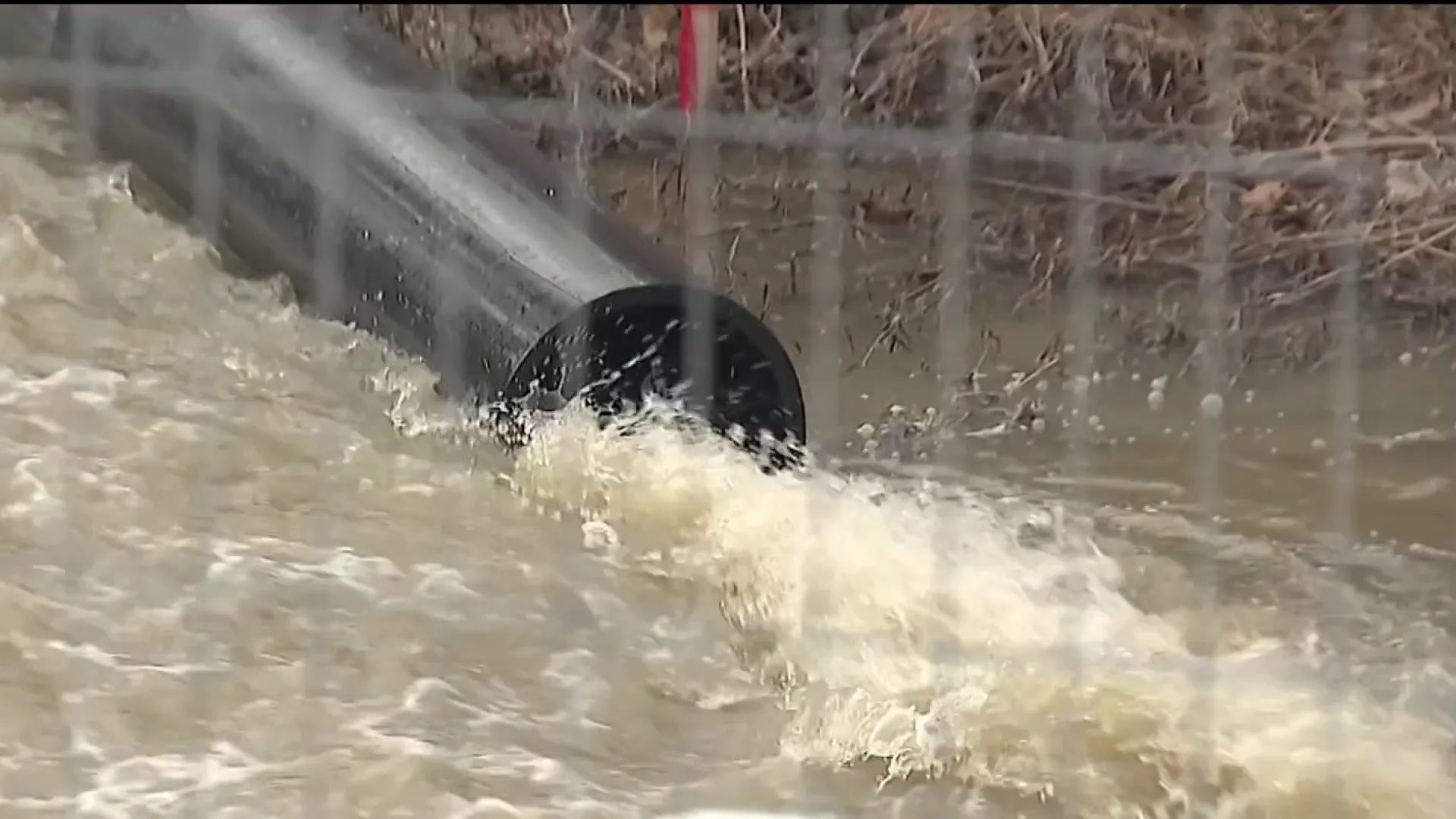 Trump: Federal Government to Step in Regarding Potomac Sewage Spill