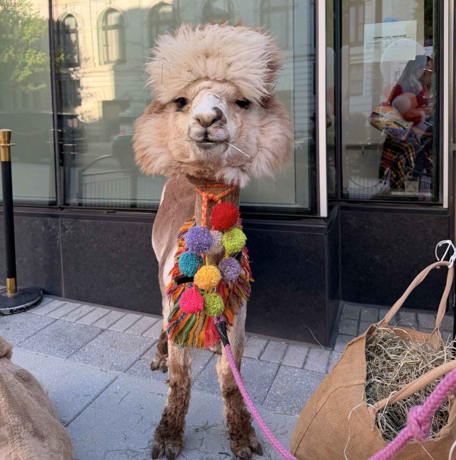 Peruvian Brothers Mark New Chapter with Vibrant North Capitol Opening